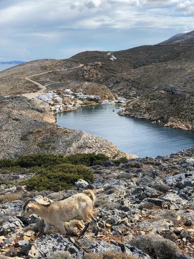 Sifnos Sea Lovers 克若尼索斯 外观 照片